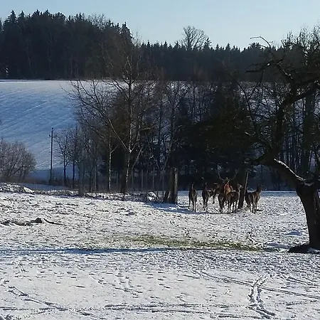 Guest house Weinbauer Hofkirchen im Traunkreis