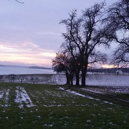 Weinbauer Hofkirchen im Traunkreis