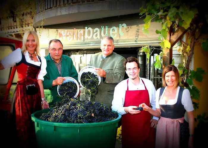 Guest house Weinbauer