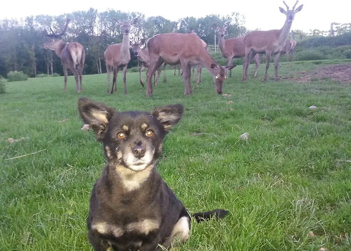 Weinbauer Hofkirchen im Traunkreis