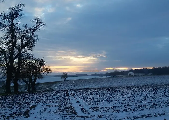 Weinbauer Hofkirchen im Traunkreis