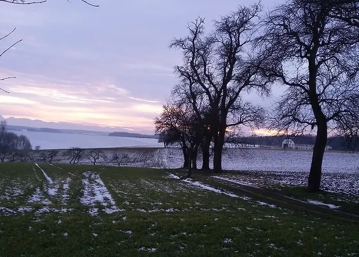Weinbauer Hofkirchen im Traunkreis