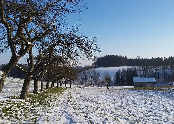 Guest house Weinbauer 3*