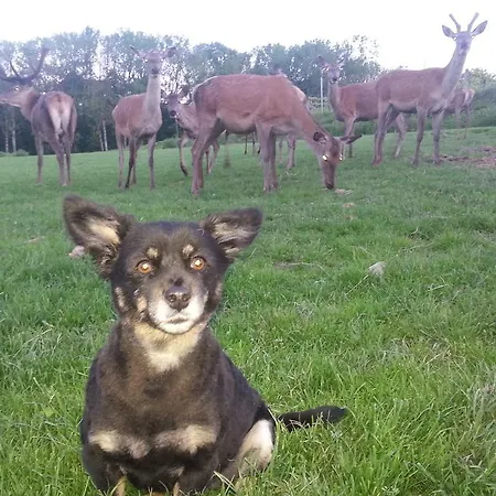 Weinbauer Hofkirchen im Traunkreis