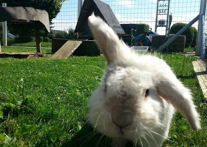 Weinbauer بيت ضيافة