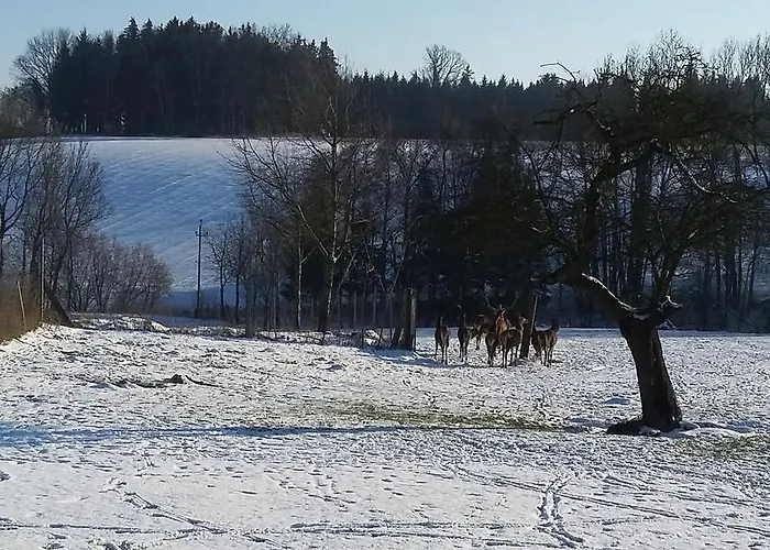 بيت ضيافة Weinbauer Hofkirchen im Traunkreis